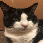 Tucker Pose